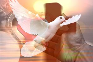 A dove, a cross and t he hand of God