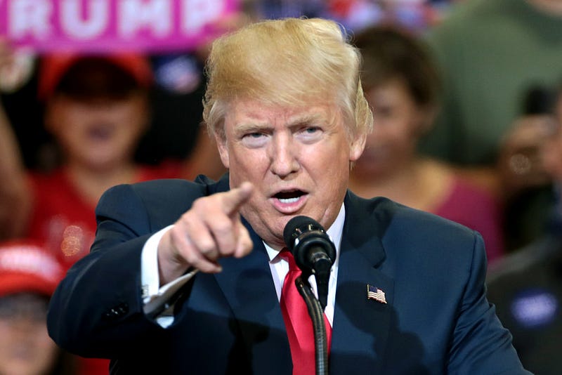 Donald Trump pointing at a rally