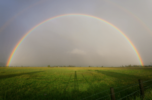 A rainbow over a pasture of land after the rain
