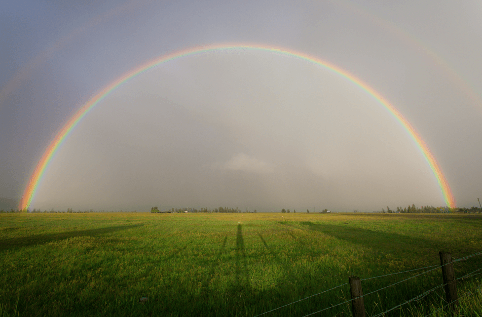 A rainbow over a pasture of land after the rain