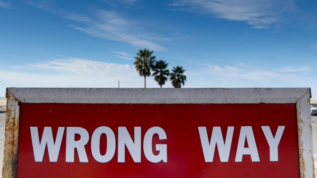 Wrong Way traffic sign in front of palm trees