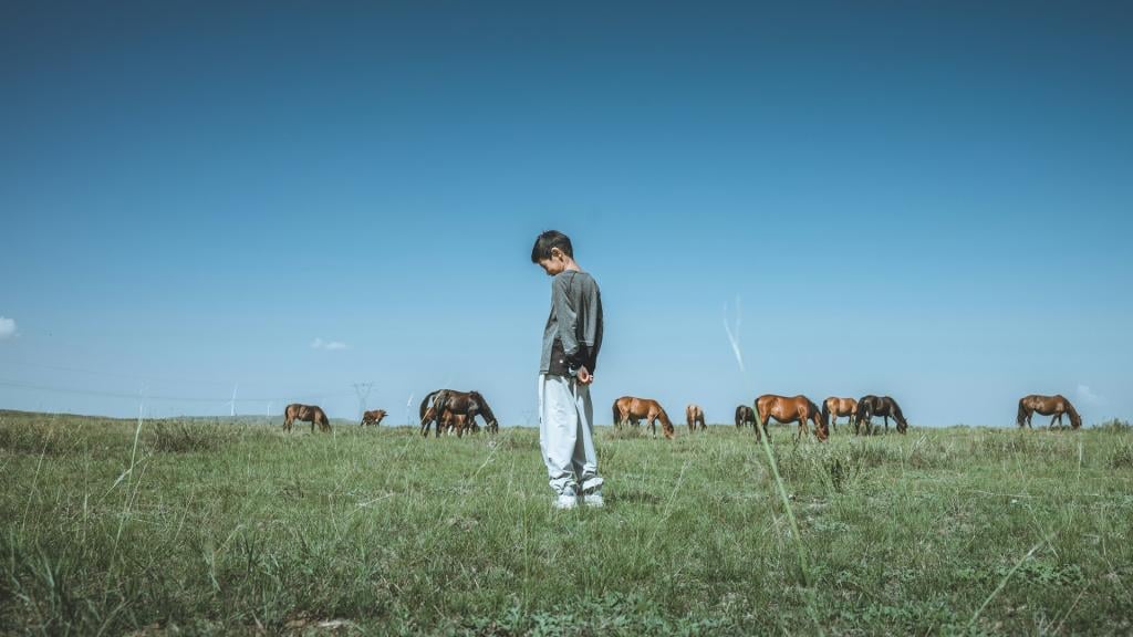 An image of a young shepherd appearing lost in his own pasture.