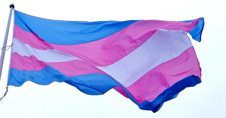 trans flag