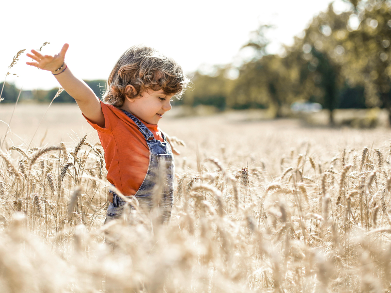 Little boy experiencing joy in a wheat field.