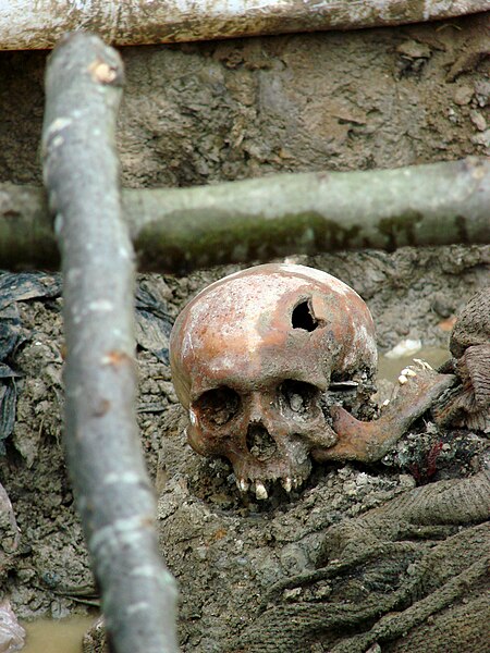 Skull of a victim of the July 1995 Srebrenica massacre.