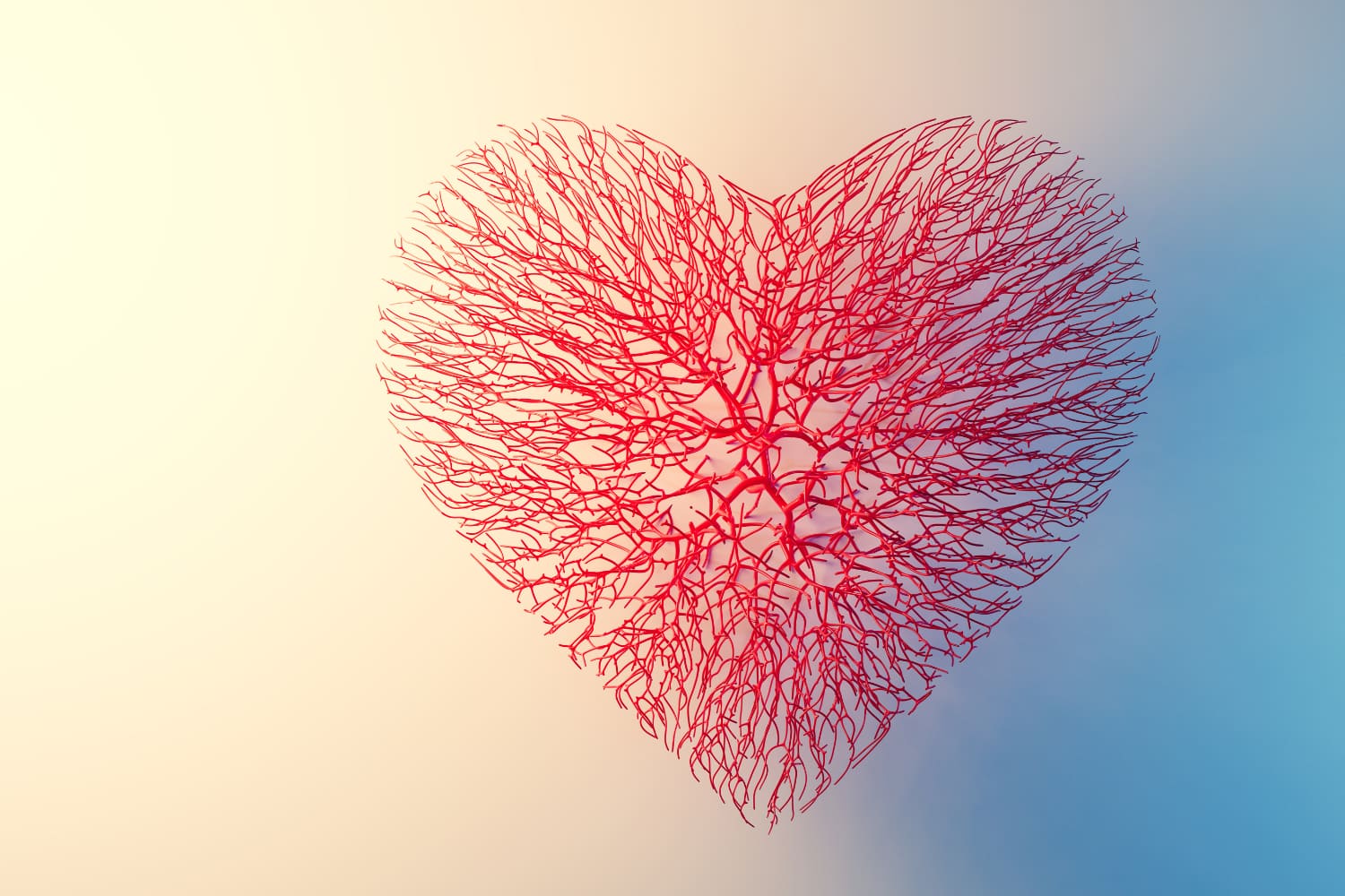An heart made of blood vessels