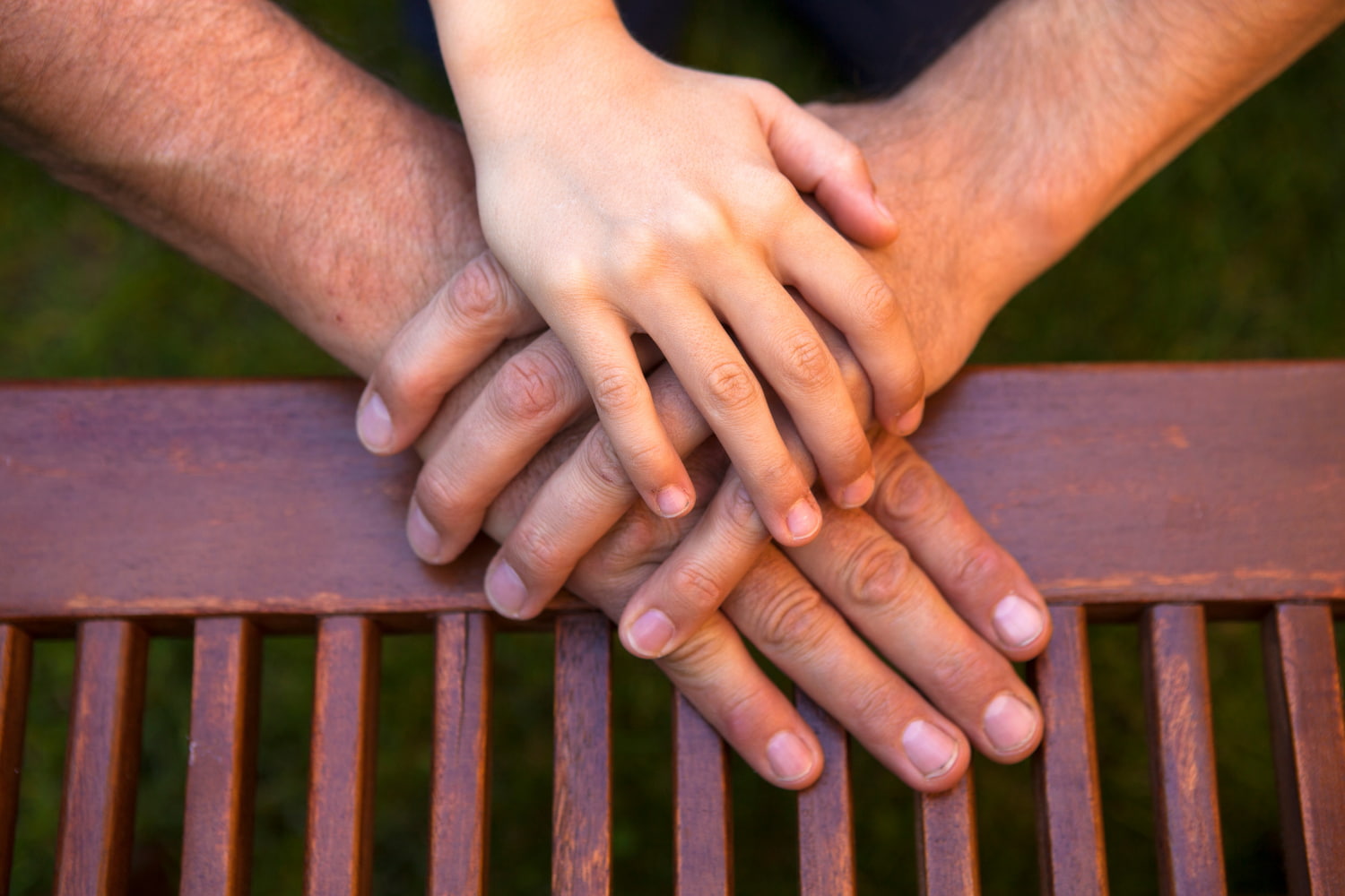 Three generations place their hand on a wooden bench