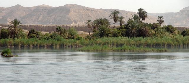 A view from the Nile River towards its bank.
