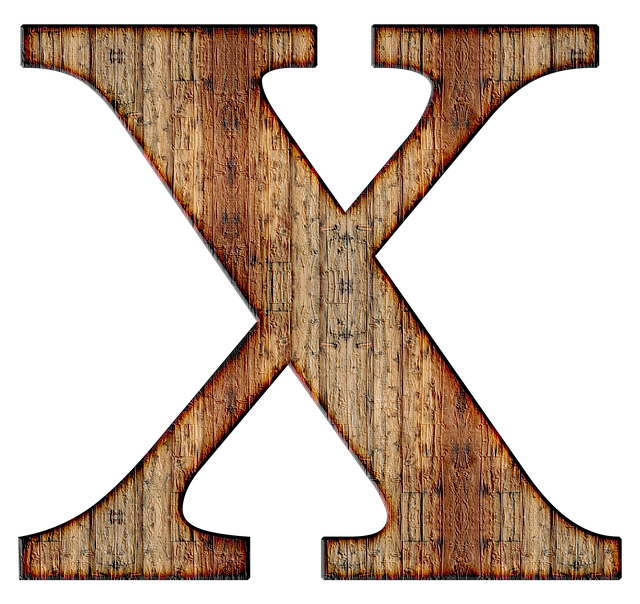 A large capital X on a white background