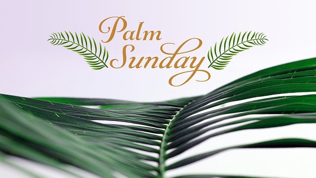 Picture of palm branch with "Palm Sunday" written above