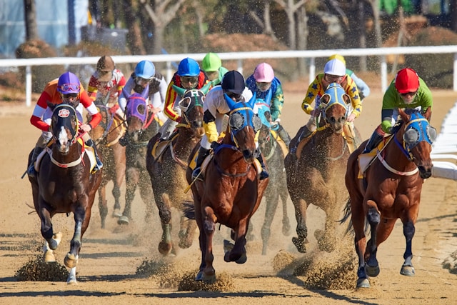 Front view of horses racing around the bend with jockeys astride on a racetrack