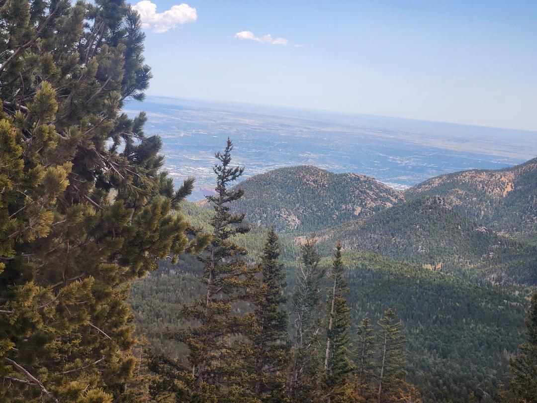 View from a mountain with trees in the foreground and mountains and plains seen in distance