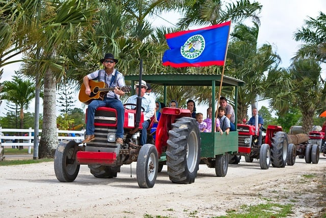 Line of tractors, one flying the Belize flag, filled with Mennonites with palm trees waving in the background