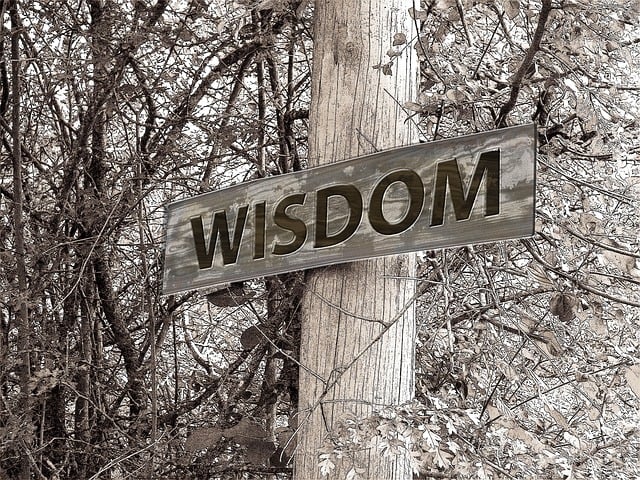 Black and white photo of a sign reading "WISDOM" posted on a tree