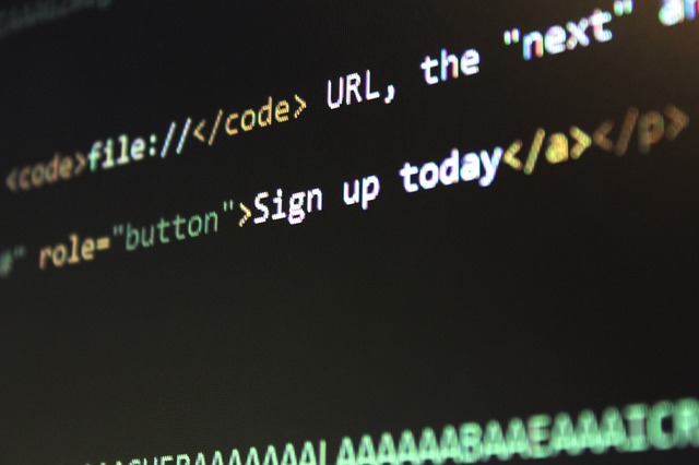Picture of black computer screen with various colors of coding