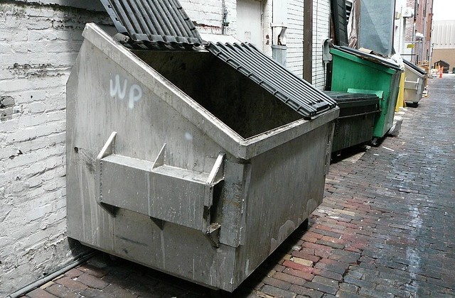 Gray dumpster with lid open sitting in an alley with other receptacles in sight down the way
