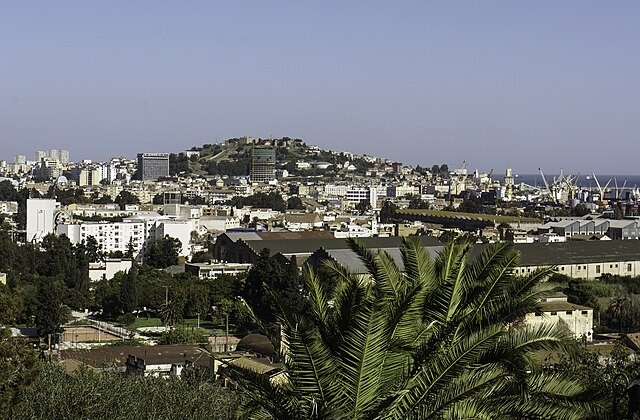 View of modern city of Annabas with palm trees in the foreground and building in the background sloping up a hill