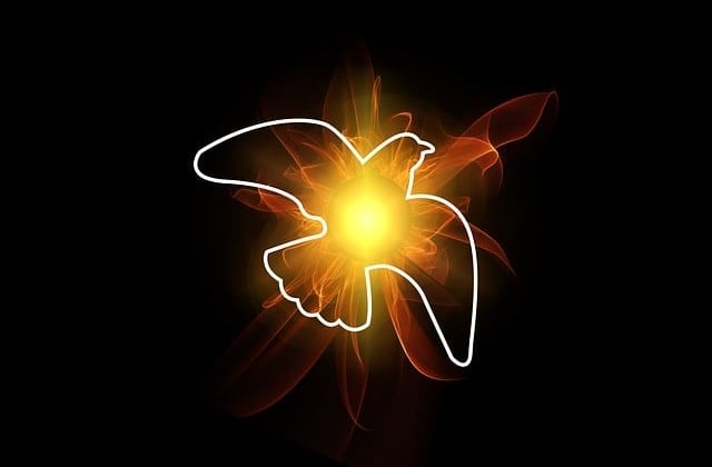 Outline of white dove on a black background with a burst of flame in the center