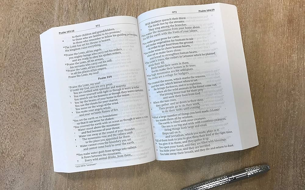 The Readability of the God's Word (GW) Translation.