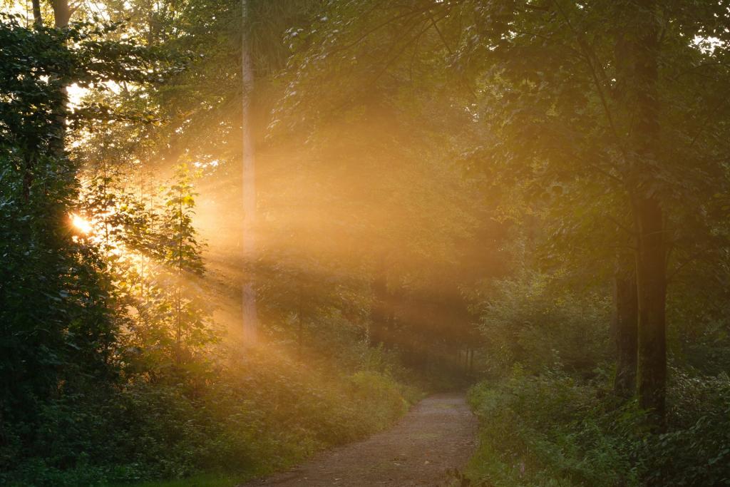 When Psalm 23 Began Reading Me. Photo by Ingmar on Unsplash.