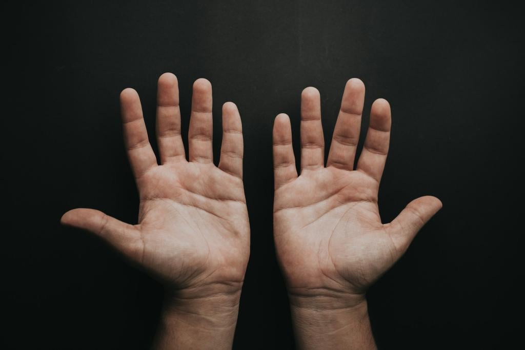 If This Is All That I Have for You (Proverbs 14:30). Photo by Luis Quintero on Unsplash.