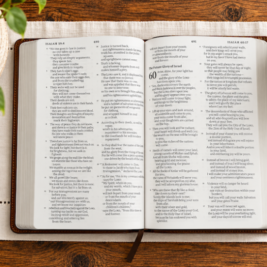 ESV