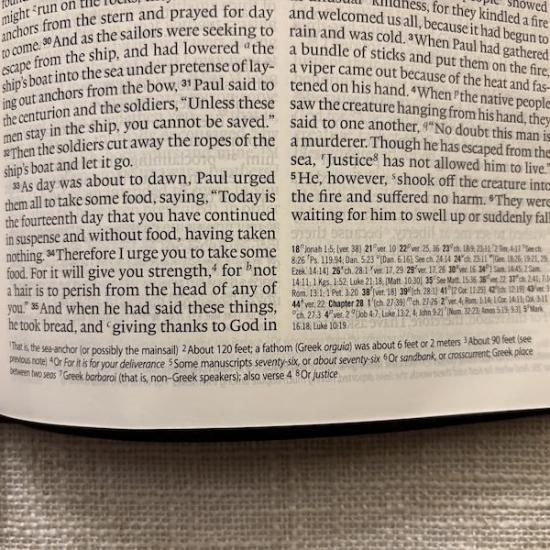 ESV4