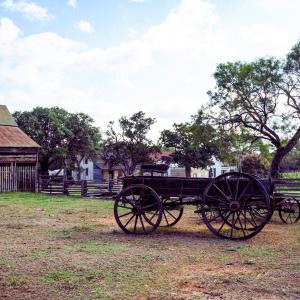 pioneer day wagon