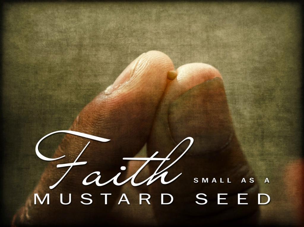two fingers holding a mustard seed. 