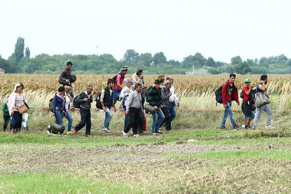 Migrants in Hungary near the Serbian border