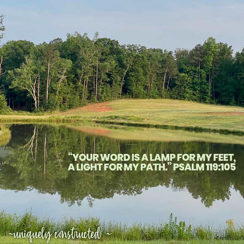 Pond with the scripture Psalm 119:105