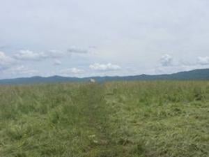 View coming out of cow pastures on my third day