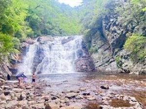 Laurel Fork Falls