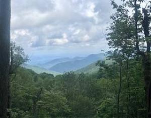 View on my third day. 