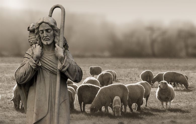Shepherd watching his flock