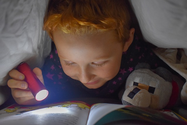 Image shows young boy reading a book in bed with a flashlight and teddy bear.