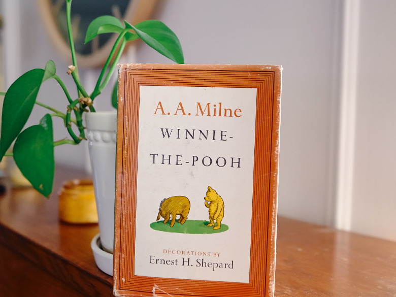 Winnie the Pooh book front cover facing out while leaning next to a plant. 