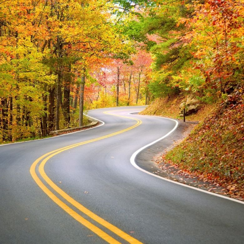 The gift of life winding roads