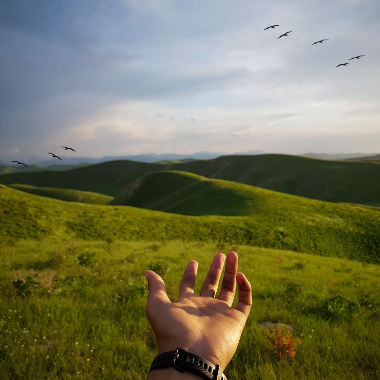 A hand pointing to a field. The Beatitudes point us to Jesus