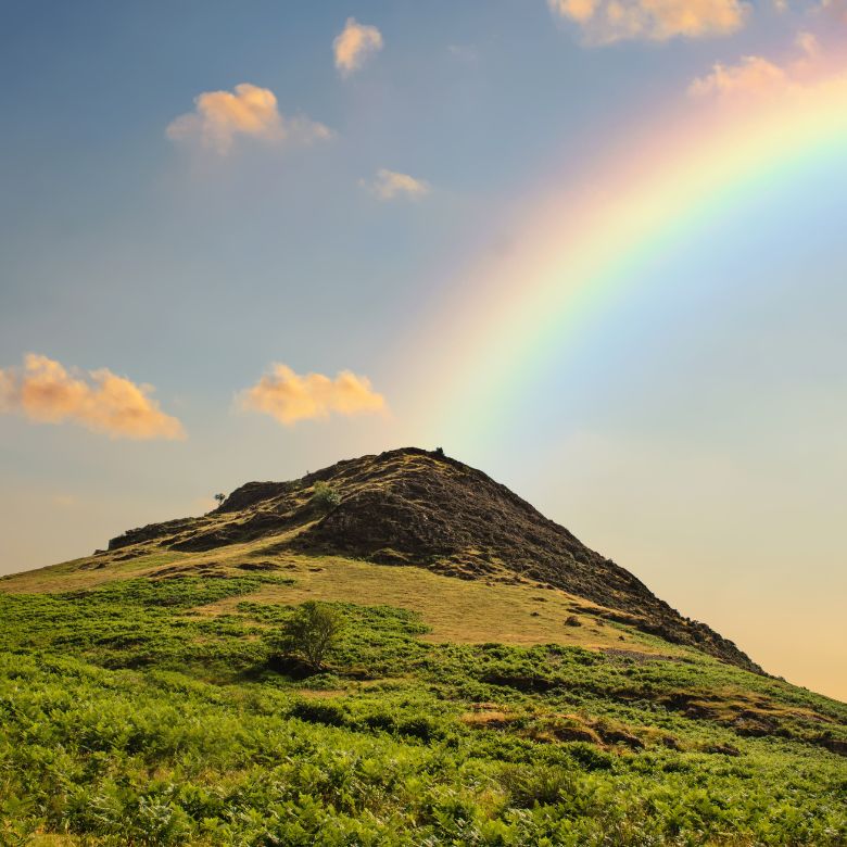 Rainbow. Coat of many colors