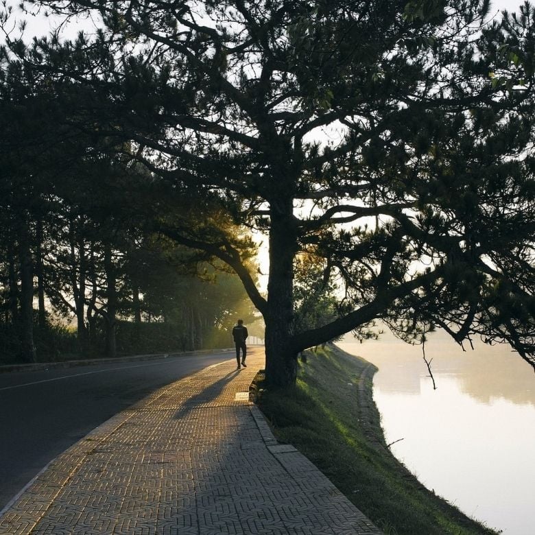 Walk with God