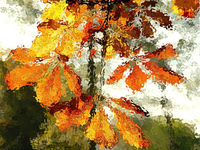 Autumn Leaves