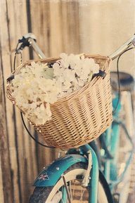 vintagebike