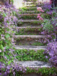 stairway