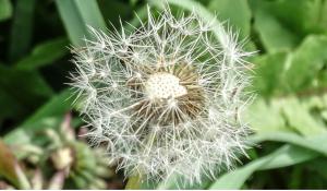 You may not control what is made to go, but seeds are planted everywhere.