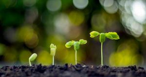 Growing