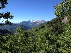IMG_2414