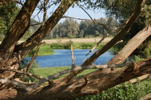 Sept22Photos 377