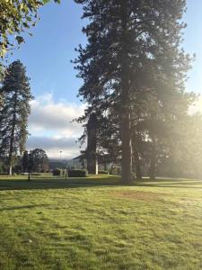 Image of a campus quad at sunrise.
