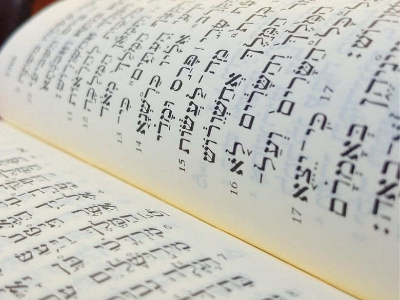 Pages of the Torah